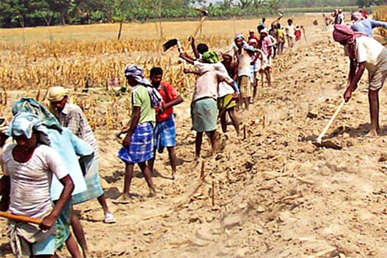 MGNREGA, file photo