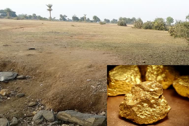 जमुई में सोना का भंडार