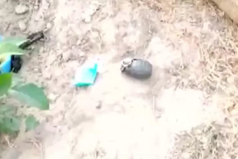 Tiffin bomb recovered in Gurdaspur