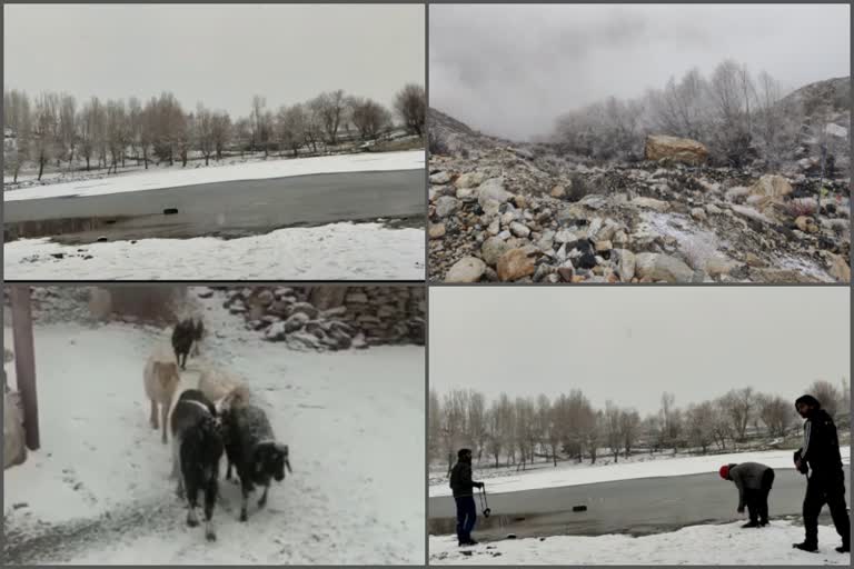 snowfall in kinnaur