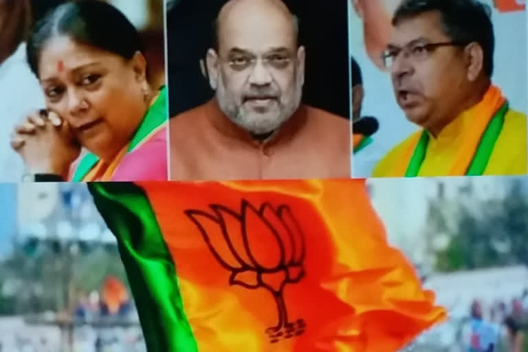 BJP State Working Committee