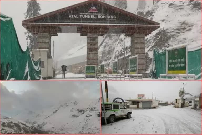 snowfall in himachal etv bharat