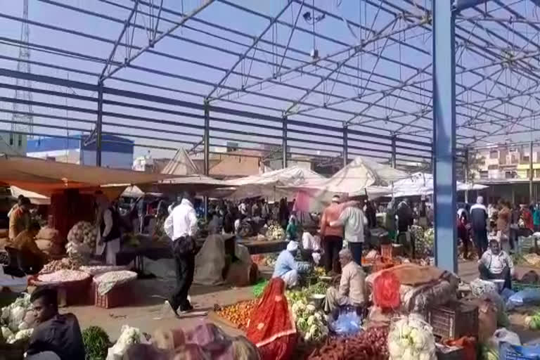 Jhajjar vegetable market