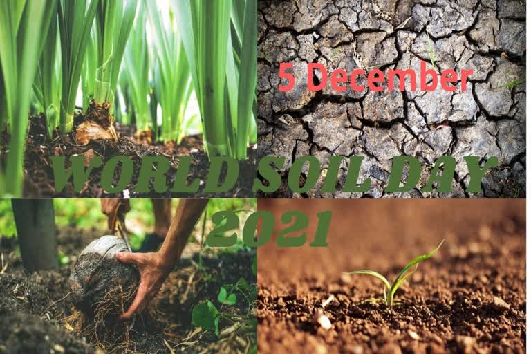 WORLD SOIL DAY 2021