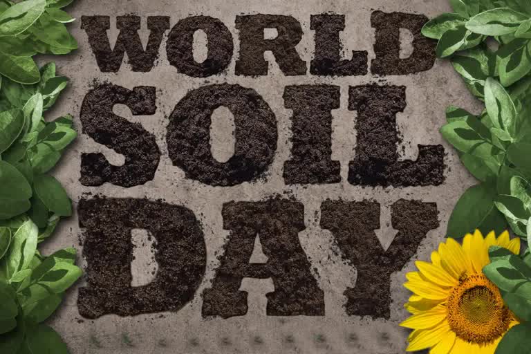 World Soil Day 2021:'જમીનનુ ધોવાણ રોકી, બચાવો આપણું ભવિષ્ય'