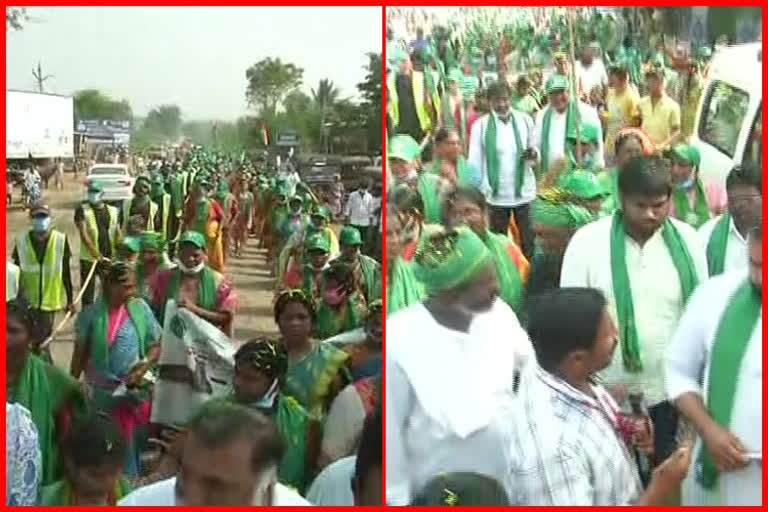 amaravathi farmers padayatra is continued in nellore on 35th day