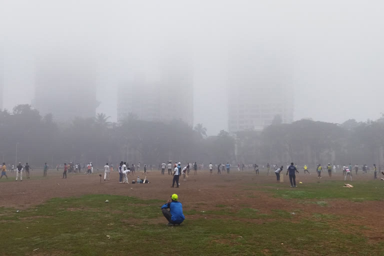 Fog in Mumbai