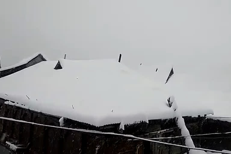 Snowfall in Kinnaur