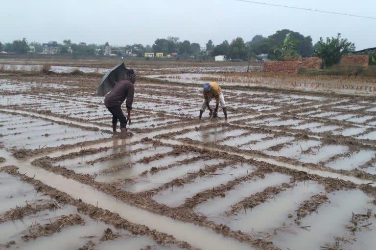 Cyclone Jawad