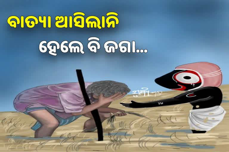 ଓଦା ବିଲରେ ଧାନକେଣ୍ଡା ଧରି କାନ୍ଦୁଛି ଚାଷୀ