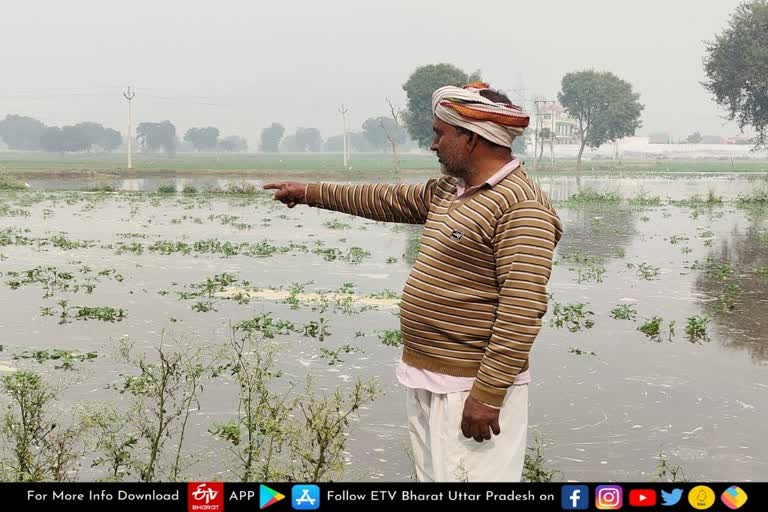 माइनर ओवरफ्लो होने से खेतों में भरा पानी.