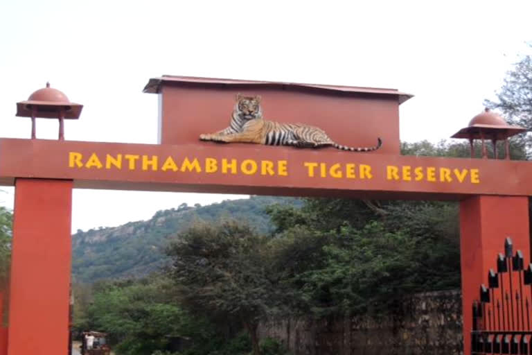Ranthambore national park