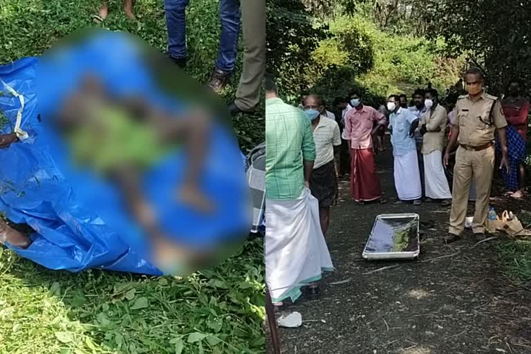 road accident man found dead  ernakulam accident death  crime news latest  നാടുകാണിക്ക് സമീപം യുവാവിനെ മരിച്ച നിലയില്‍ കണ്ടെത്തി  കോതമംഗലത്ത് അപകട മരണം