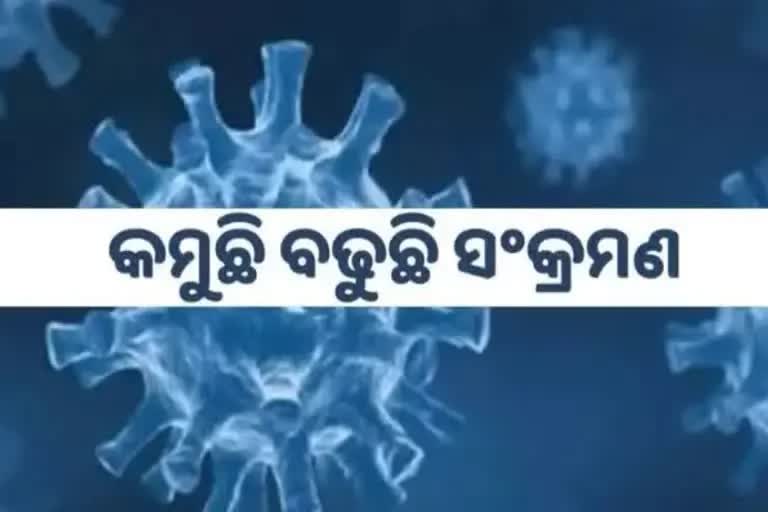 Odisha Corona Report: ଦିନକରେ ଚିହ୍ନଟ ହେଲେ ୨୫୫ ଆକ୍ରାନ୍ତ