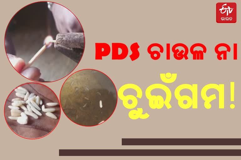 PDS ହିତାଧିକାରୀଙ୍କୁ ମିଳୁଛି ପ୍ଲାଷ୍ଟିକ ଚାଉଳ !