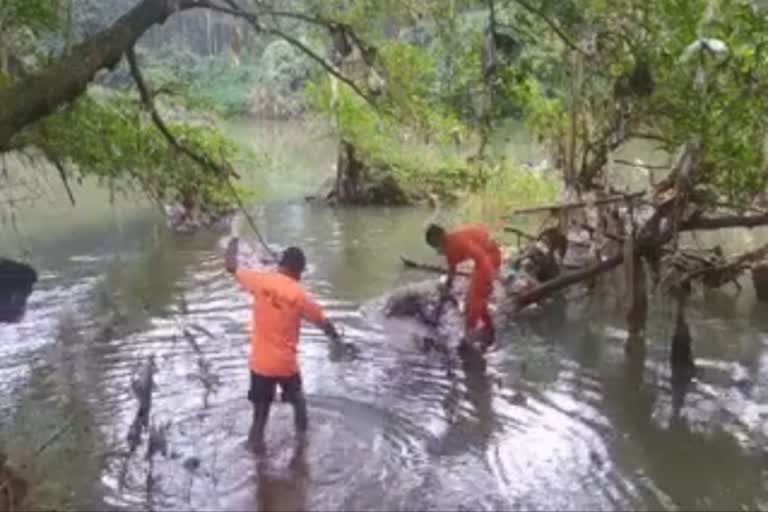 man missed in meenachilar found dead  മീനച്ചിലാറ്റിൽ കാണാതായതായ ആളുടെ മൃതദേഹം കണ്ടെത്തി.  മൃതദേഹം ചതുപ്പിൽ അടിഞ്ഞ നിലയിൽ