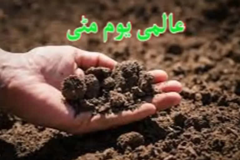 World Soil Day