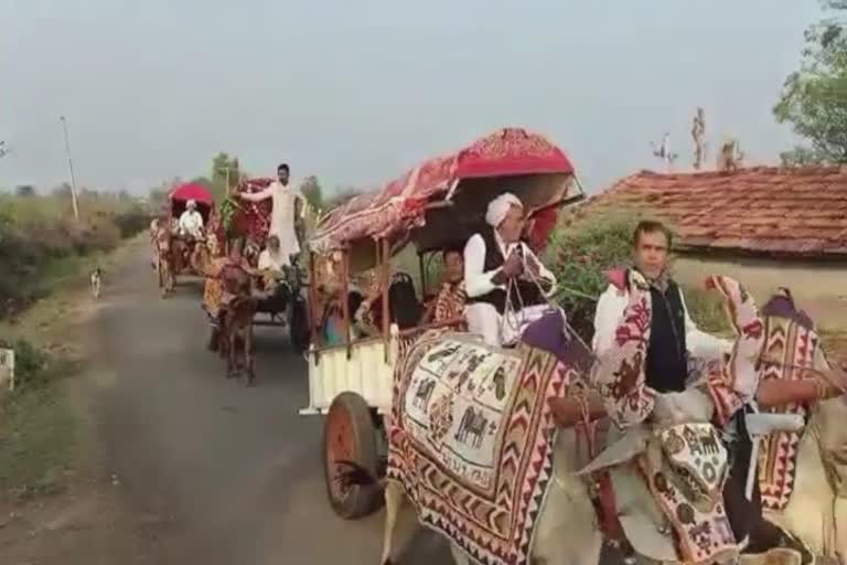 Amreli Bullock cart merrage: અમરેલી જિલ્લામાં પ્રાચીન પરંપરાને ઉજાગર કરતી જાન બળદગાડામાં પરણવા માટે નીકળી