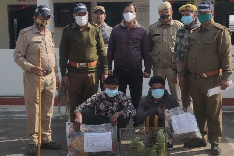 haldwani two poachers arrested with 11 suk