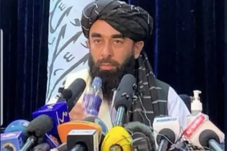 افغان طالبان نے ٹی ٹی پی کے 'آئی ای اے کی شاخ' ہونے کے دعوے کو مسترد کیا