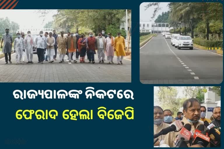 Odisha BJP legislators meet Governor