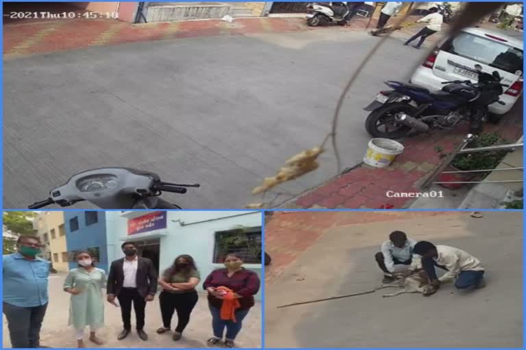 Dog Terror in Surat: રાંદેર વિસ્તારના સ્થાનિકોએ શ્વાનને એવી રીતે હેરાન કર્યો, જેને જોઈને તમને પણ આવશે ગુસ્સો