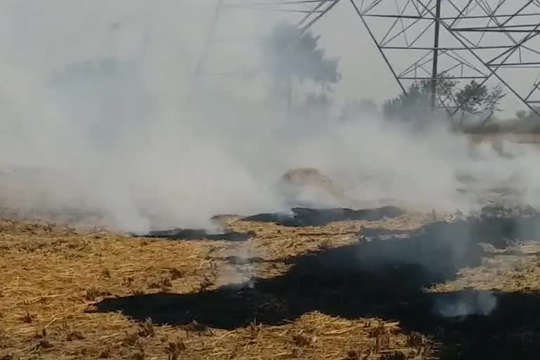 पराली जलाने को लेकर 98 किसानों पर कार्रवाई