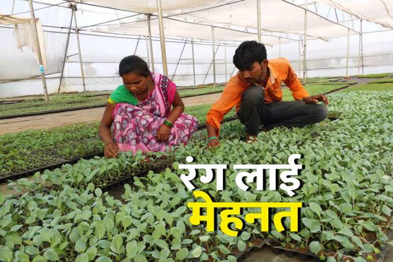 Farmer Nunulal preparing best variety of vegetable plants