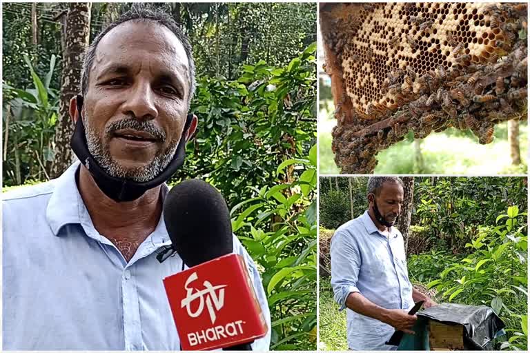 തേനീച്ച കൃഷി ചെയ്‌ത് കുഞ്ഞി മുഹമ്മദ്  കോഴിക്കോട് തിരുവമ്പാടി സ്വദേശി കുഞ്ഞിമുഹമ്മദ്  Kozhikode kunhi muhammed  bee farming of Kozhikode kunhi muhammed  കോഴിക്കോട് ഇന്നത്തെ വാര്‍ത്ത  kozhikode todays news