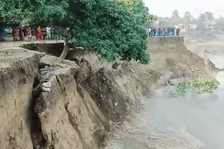 murshidabad: river bank erosion along with ganga at Samserganj