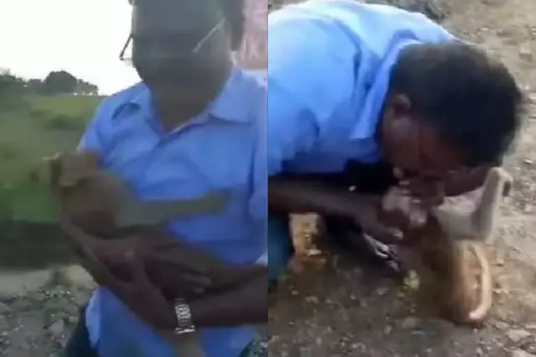 குரங்கை காப்பாற்றிய இளைஞர்