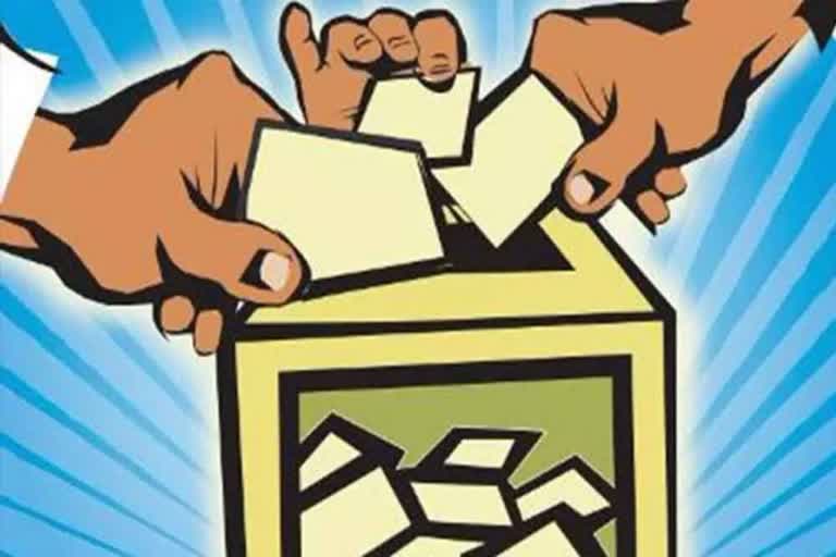 Karnataka MLC elections Counting underway