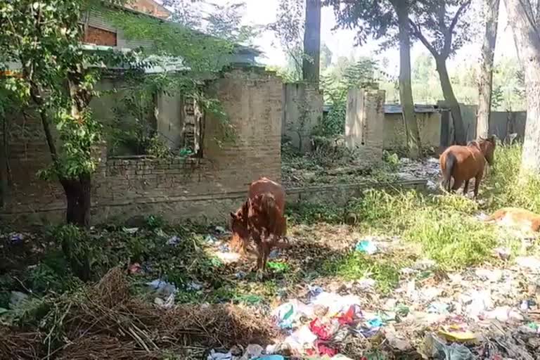 Patwar Khana Turned Into Dumping Yard