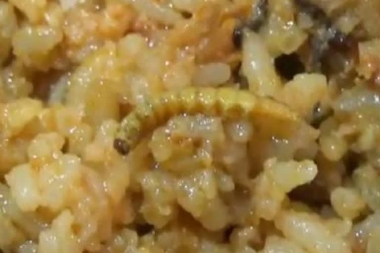 Worm in chicken biryani at krishnagiri