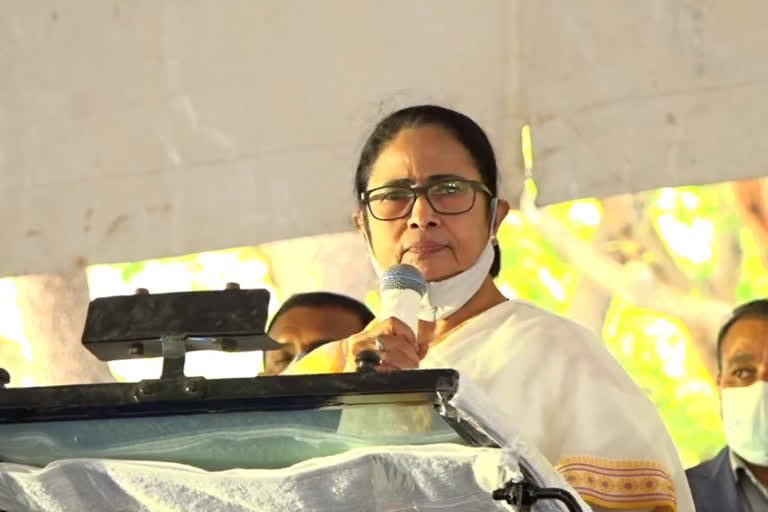 tmc supremo mamata banerjee slams bjp from goa