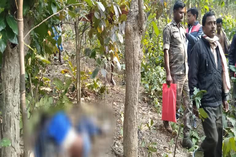 Wild Elephants crushed villager in simdega