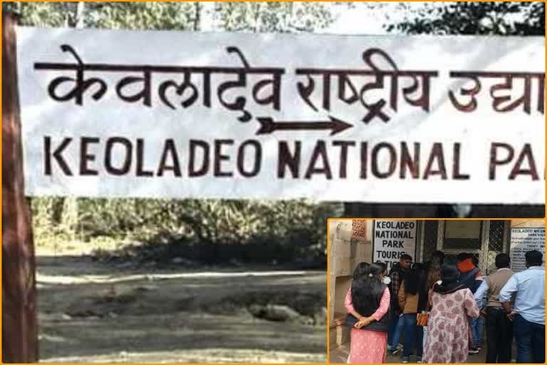 Keoladeo National Park, Bharatpur news