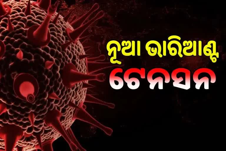 Omicron scare: ମହାରାଷ୍ଟରେ ୮ ନୂଆ ସଂକ୍ରମିତ, ଦେଶରେ ୫୭କୁ ବଢିଲା ମୋଟ ମାମଲା