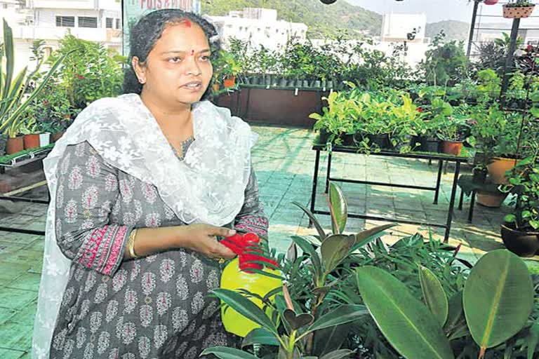 plants-doctor-rameshwari-singh-special-story