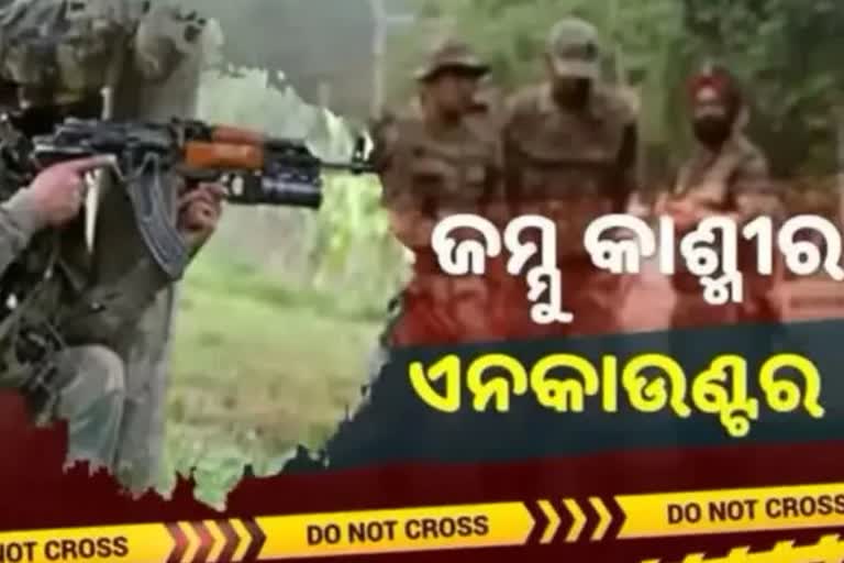 Pulwama EnPulwama Encounter: ସେନା ଗୁଳିରେ ଜଣେ ଆତଙ୍କୀ ସଫାcounter