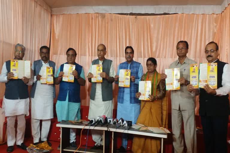 BJP made promises in the manifesto for the entire Birgaon development