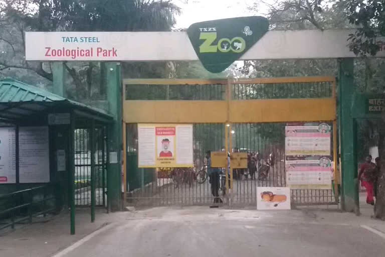 Preparations to change arrangement of Tata Zoological Park Jamshedpur