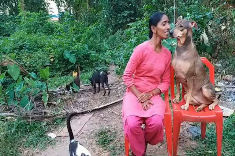 a women  feeding 2 tonnes of food to 800 street dogs per day in mangalore