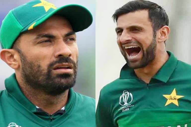 Wahab Riaz  Shoaib Malik  Sports News  वहाब रियाज  शोएब मलिक  जाफना किंग्स  खेल समाचार  लंका प्रीमियर लीग  Jaffna Kings  Lanka Premier League