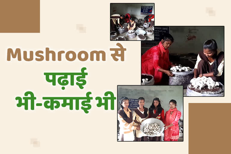 mushroom-cultivation-in-hazaribag-girls-earning-money-along-with-studies