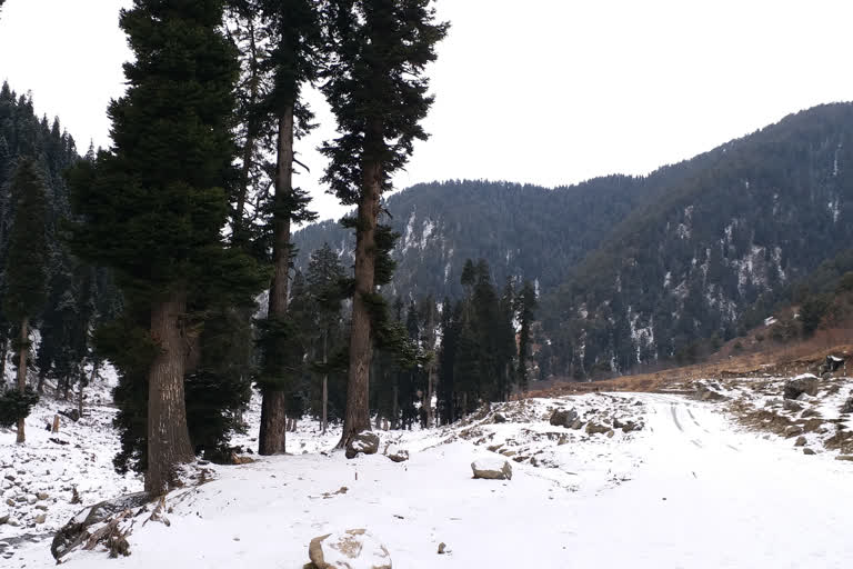 light-snow-fall-in-upper-regions-of-kashmir