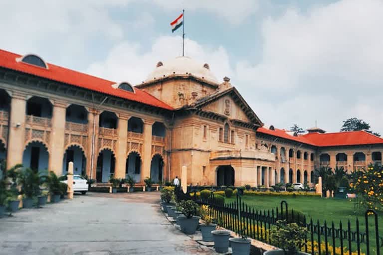 गैंगस्टर आरोपी की जमानत मंजूर, अभियोजन ने किया था लंबे आपराधिक इतिहास का हवाला देकर विरोध