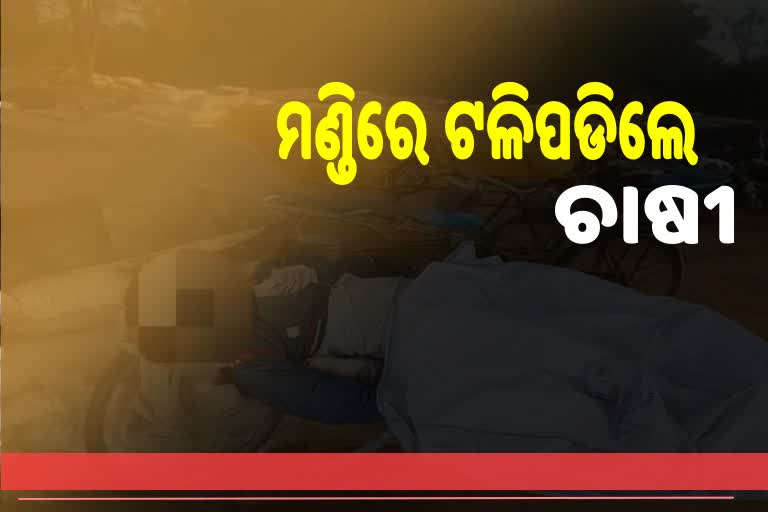 ମଣ୍ଡିରେ ଚାଲିଗଲା ଚାଷୀଙ୍କ ଜୀବନ