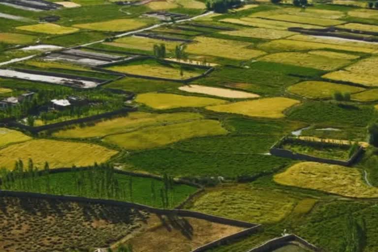 جموں و کشمیر میں زرعی اراضی کو غیر زرعی بنانے کا کام کیا گیا آسان