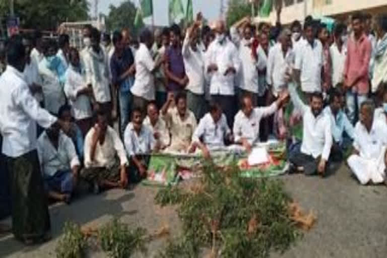 Mirchi Farmers Protest